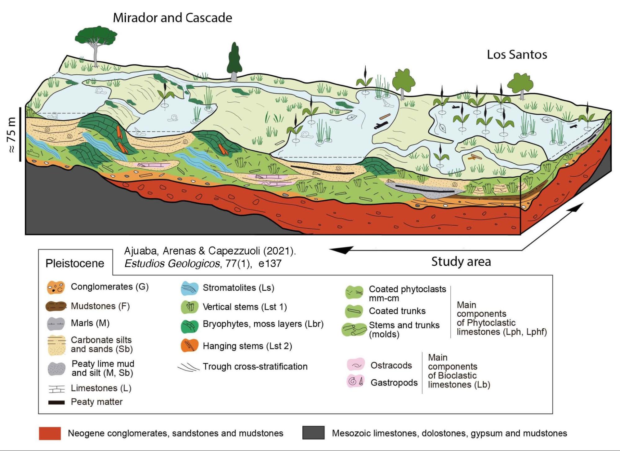 Modelo de facies sedimentarias para el valle del río Ebrón durante el Pleistoceno Medio-Superior.<br>Sedimentary facies model proposed for the Ebrón river Valley during the Middle - Late Pleistocene.<br>(Ajuaba, Arenas and Capezzuoli, 2021. Estudios Geológicos, 77(1), e137).