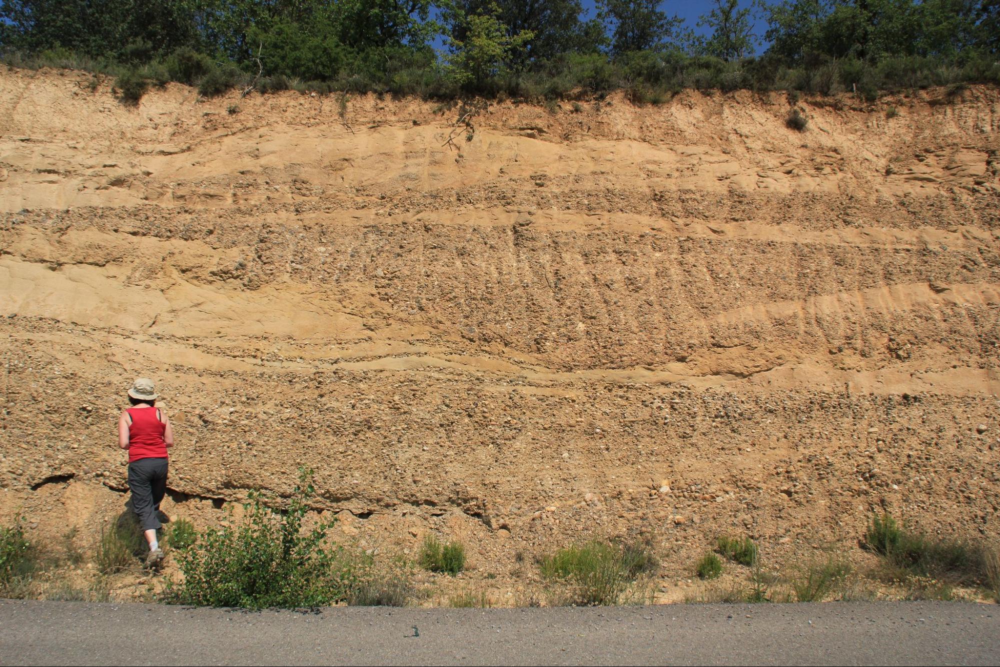 Litofacies de conglomerados poligénicos y areniscas de la Formación Sariñena (Norte Cuenca del Ebro).<br>Polygenic conglomerates and sandston of the Sariñena Formation (Northern Ebro Basin).