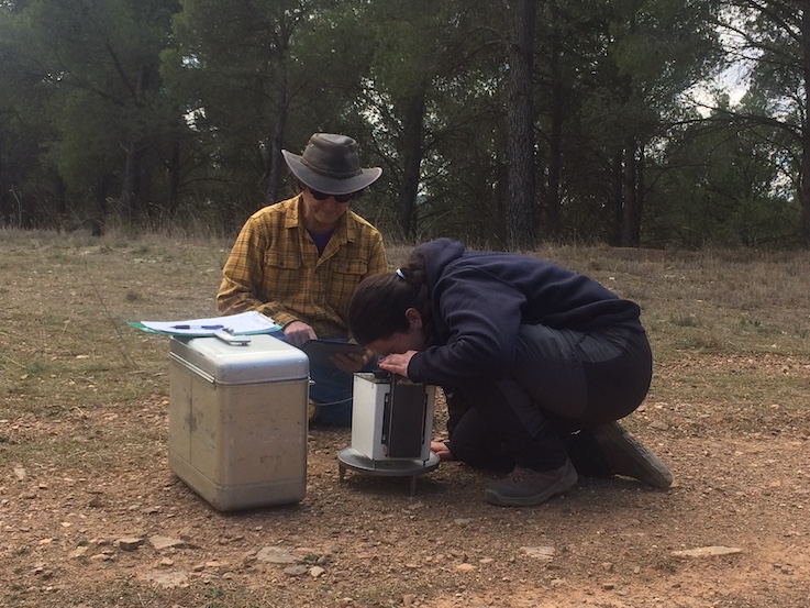 Prospección gravimétrica en la cuenca de Calatayud (TFG de Iciar Celaya).<br>Gravimetric survey in the Calatayud basin (TFG of Iciar Celaya).